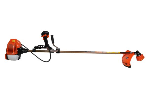 Жас жігіттер бір-бірін сорып алады