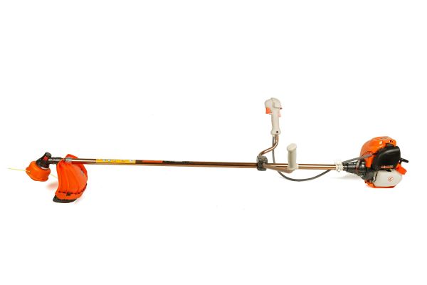 Әйел жынысы нд